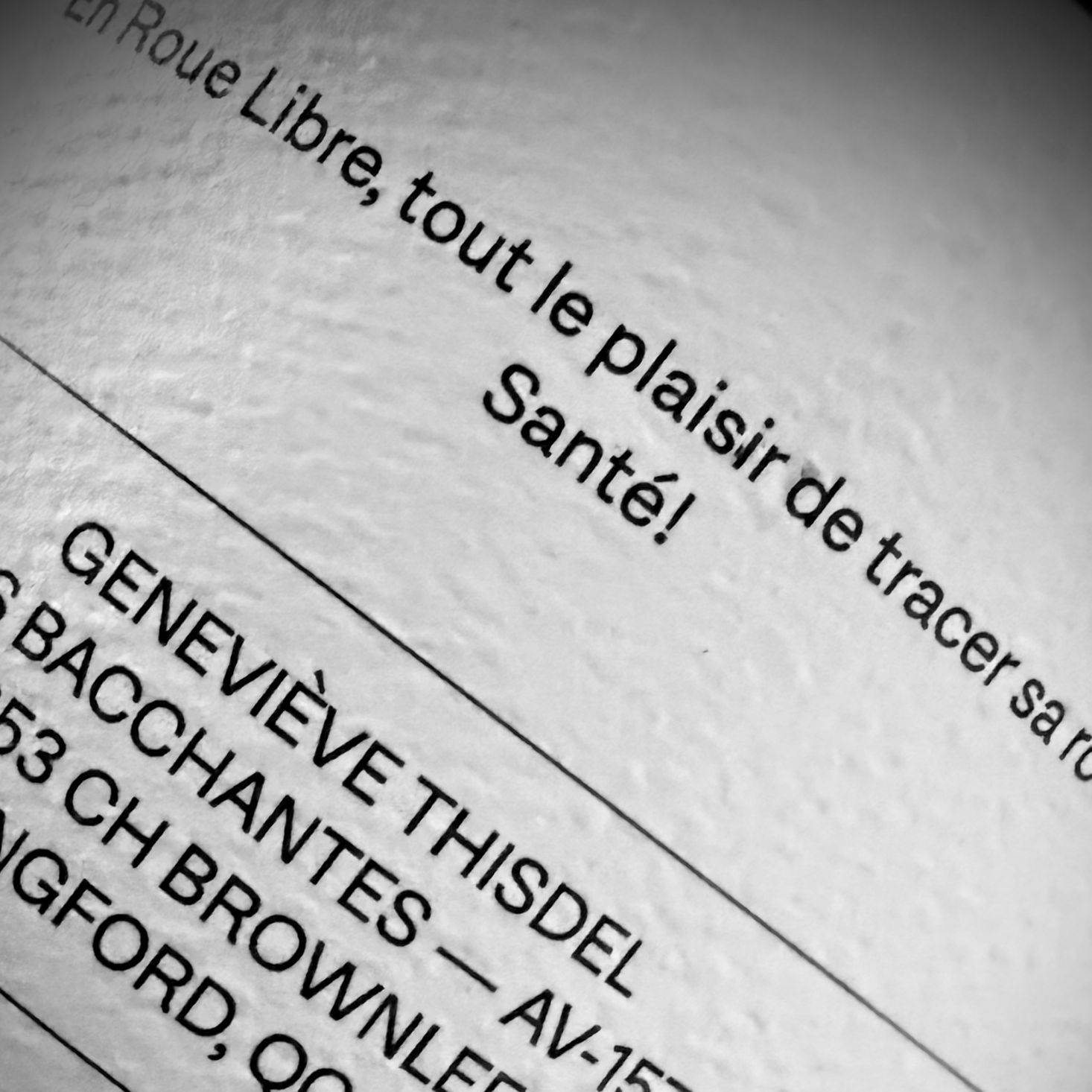 David Large – Du beaujo dans les propos – Avec Geneviève Thisdel
